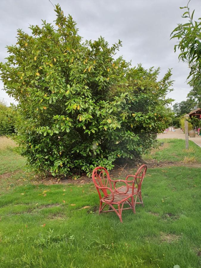Gite De La Maison Du L.A.C Simard ภายนอก รูปภาพ